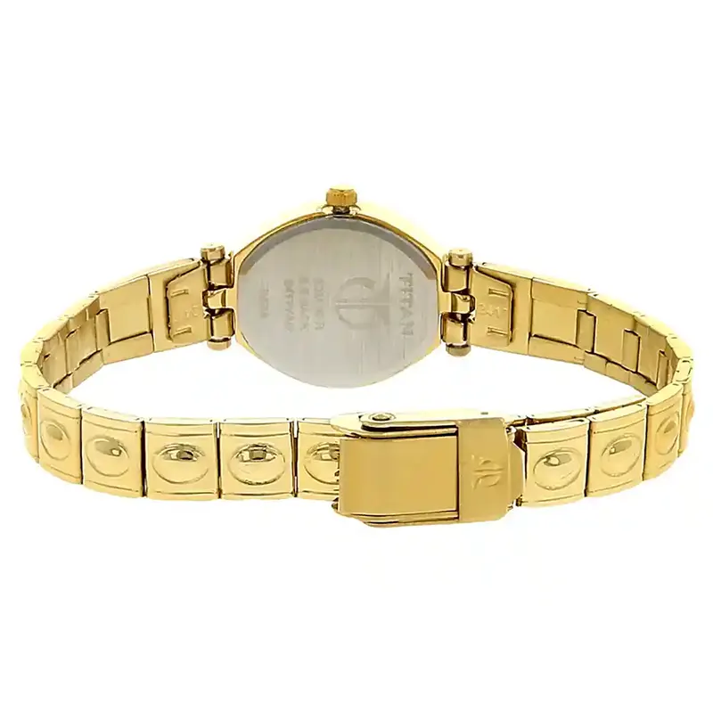 Titan 2417YM01 Silver Dial Gold-tone Ladies Watch