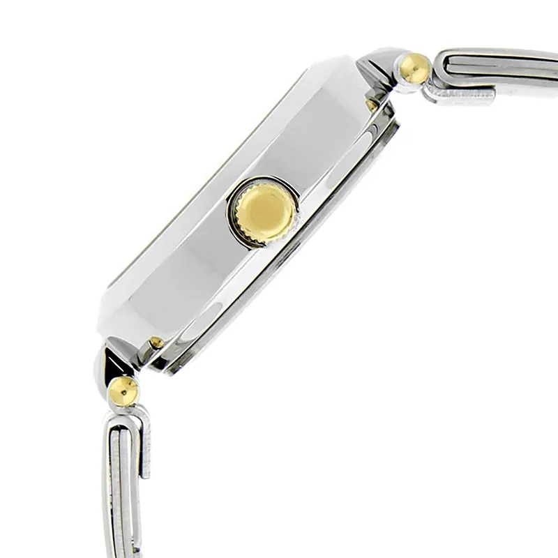 Titan 2574BM01 Silver Dial Two-Tone Ladies Watch