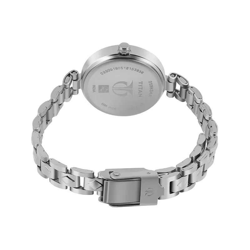 Titan Lagan 2598SM01 Silver Dial Silver-Tone Ladies Watch