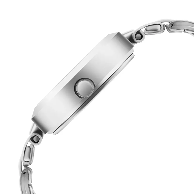 Titan Lagan 2598SM01 Silver Dial Silver-Tone Ladies Watch