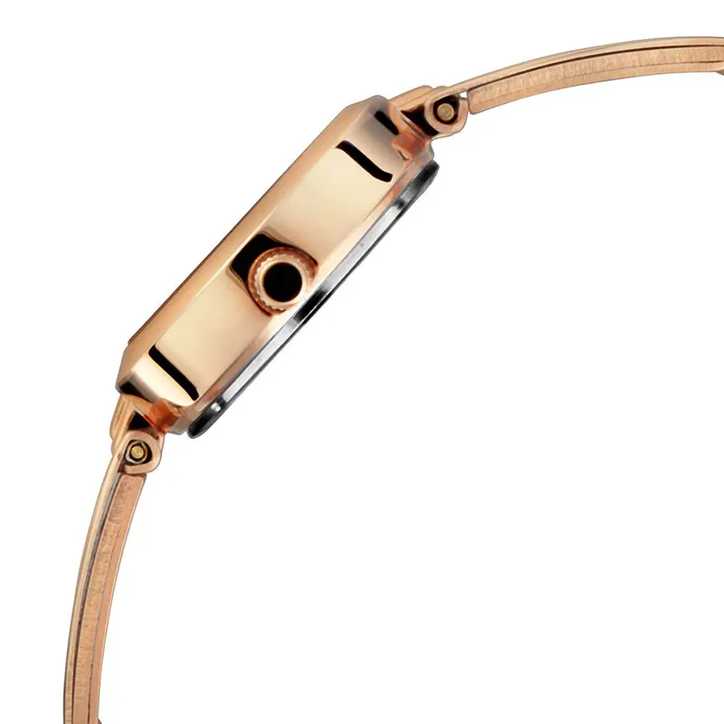 Titan Lagan 2598WM01 Silver Dial Rose Gold-Tone Ladies Watch