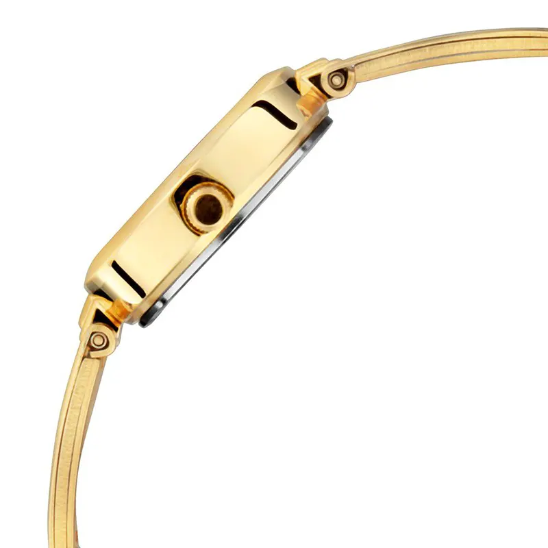 Titan Lagan 2598YM02 Silver Dial Gold-Tone Ladies Watch