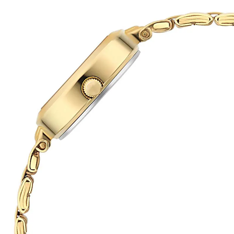 Titan Lagan Silver Dial Gold-Tone Ladies Watch | 2598YM04