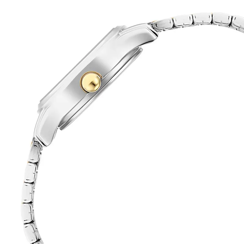 Titan Lagan White Dial Two-Tone Ladies Watch | 2656BM01