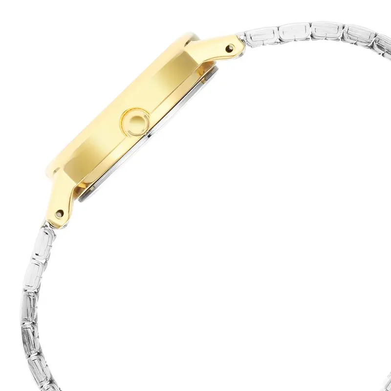 Titan Karishma 2678BM01 Grey Dial Two-Tone Ladies Watch