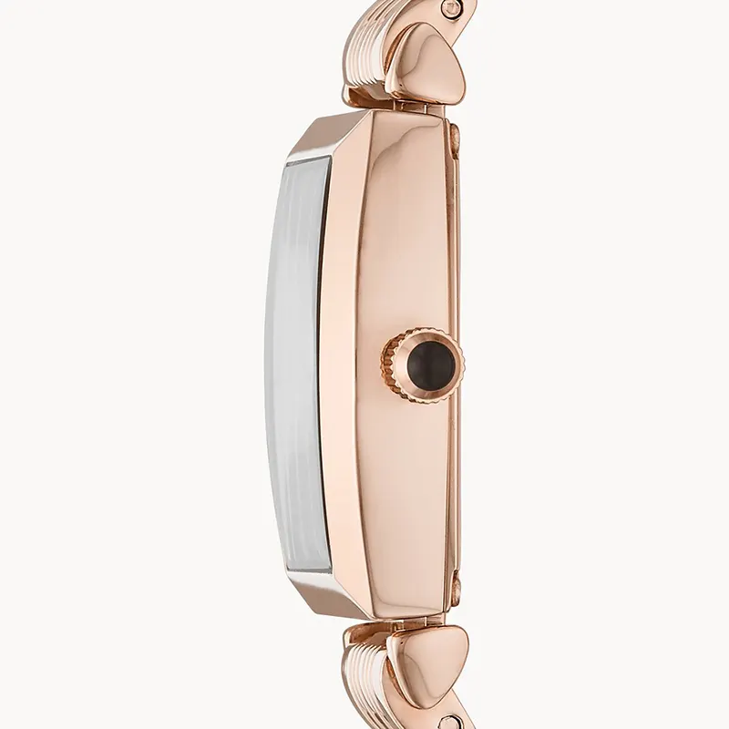 Emporio Armani Brown (crystal pave center) Dial Ladies Watch | AR11407