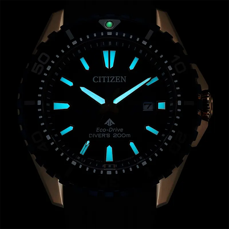 Citizen Promaster Dive Eco-Drive Blue Dial Men's Watch | BN0196-01L