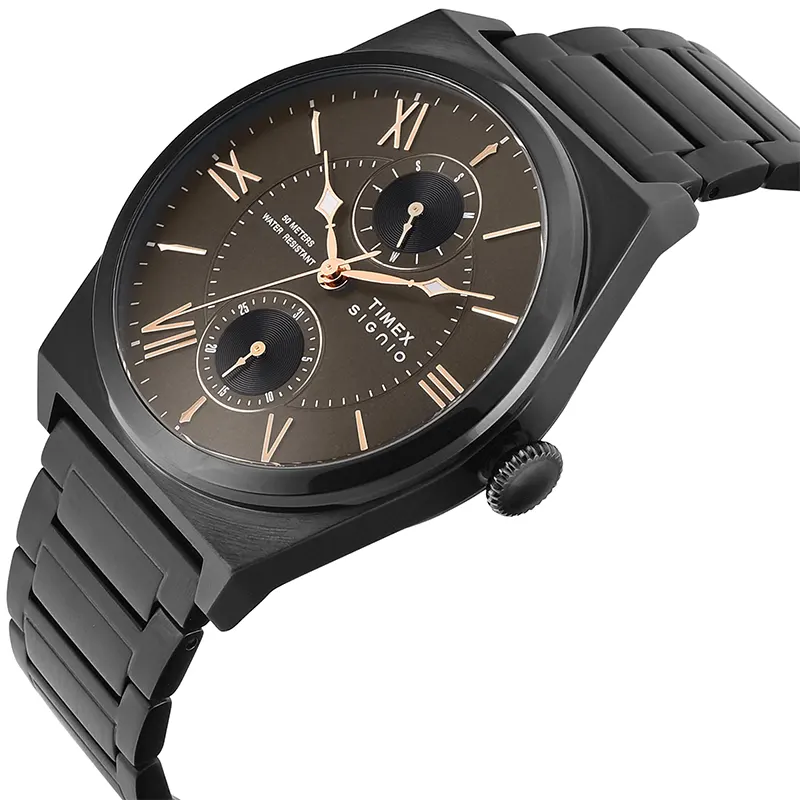 Timex Signio Multi-Function Brown Dial Men's Watch | TWEG34502