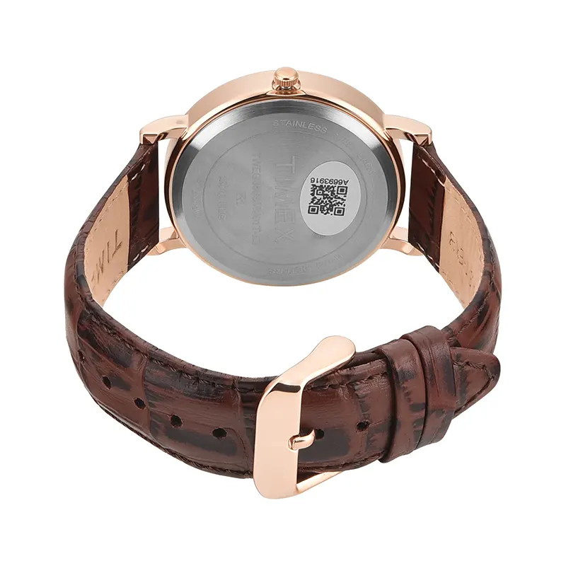 Timex Silver Dial Brown Leather Men's Watch | TWEG356SMU01T