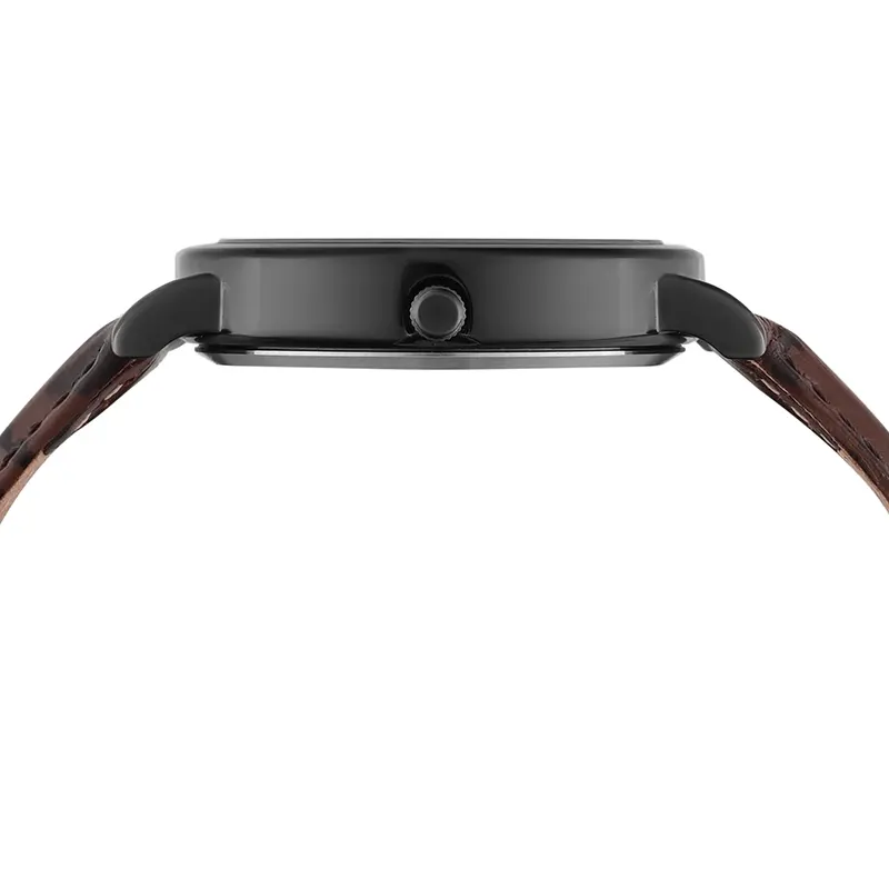 Timex Black Dial Brown Leather Men's Watch | TWEG356SMU02T