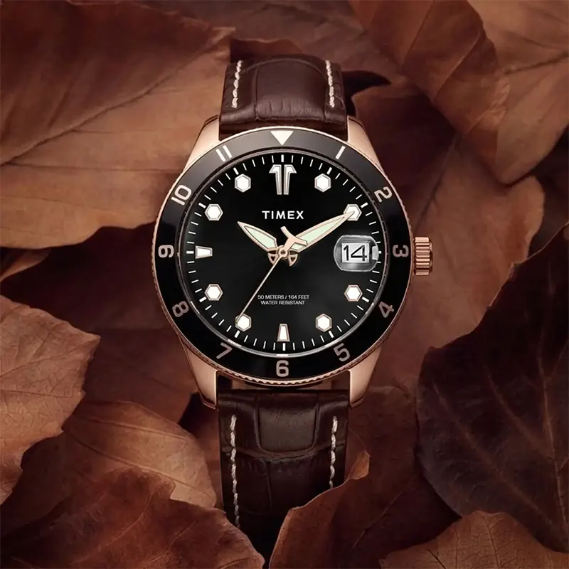 Timex Modern Date Black Dial Men's Watch | TWEG30001