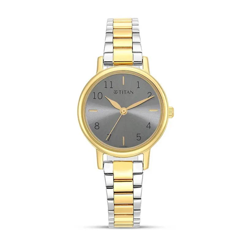 Titan Karishma 2678BM01 Grey Dial Two-Tone Ladies Watch